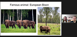 European Bison_??????.png